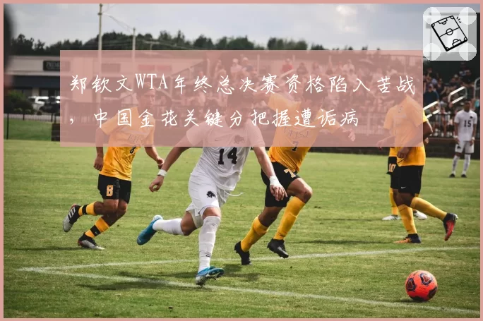 郑钦文WTA年终总决赛资格陷入苦战，中国金花关键分把握遭诟病